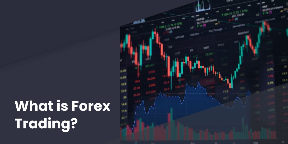 What is forex trading? - Blog forex 03 03